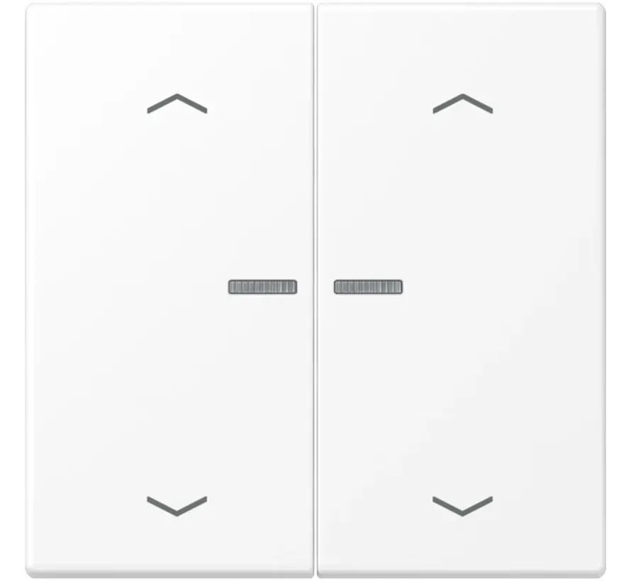 schakelwip 2-voudig met controlevenster voor HOME draadloze schakelaar LS990 sneeuwwit mat (LS 102 KO5P WWM)