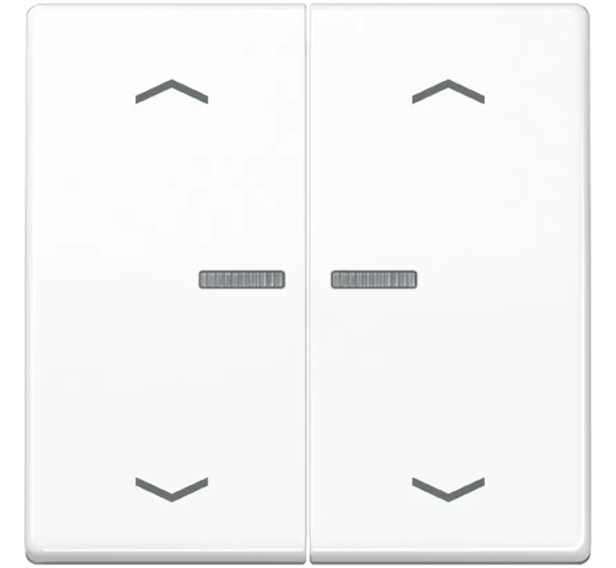 HOME dimmerknop 2-voudig met pijlsymbolen A-range alpine wit (BT A 17102 P WW)
