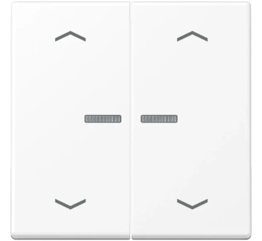 HOME dimmerknop 2-voudig met pijlsymbolen A-range sneeuwwit mat (BT A 17102 P WWM)