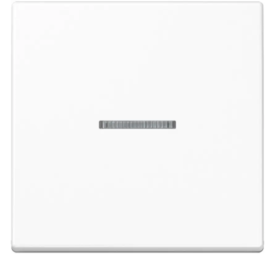 HOME dimmerknop 1-voudig A-range alpine wit (BT A 17101 WW)