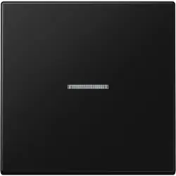 JUNG HOME dimmerknop 1-voudig LS990 grafietzwart mat (BT LS 17101 SWM)