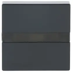 Busch-Jaeger comfortschakelaar flex-opzetstuk met bewegingssensor Future Linear antraciet (64765-81)