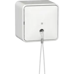 Gira trekschakelaar met interne montageplaat opbouw 10A wit (314613)