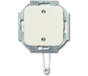 Busch-Jaeger trekschakelaar incl. centraalplaat Standaard SI (2610/6 UC-212-503)