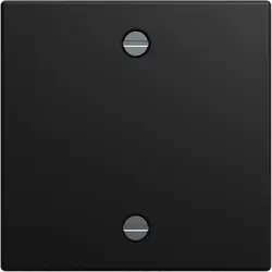 Busch-Jaeger centraalplaat voor trekschakelaar 2610/6U Balance SI zwart mat (1796-915)