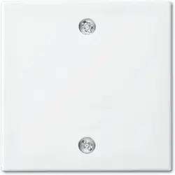 Busch-Jaeger centraalplaat voor trekschakelaar 2610/6U Balance SI wit glans (1796-914)