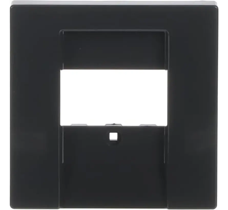 centraalplaat USB / luidspreker Future Linear antraciet glans (1766-81)