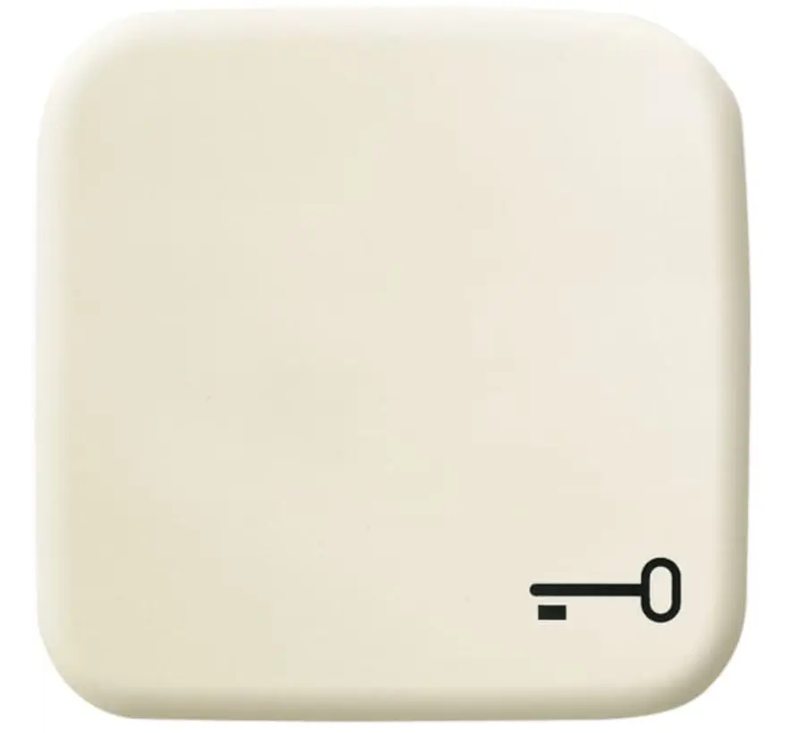 schakelwip symbool sleutel Standaard SI (2520 TR-212)