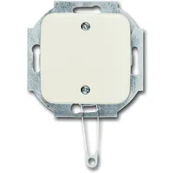 Busch-Jaeger trekschakelaar incl. centraalplaat Standaard SI (2610/6 UC-212-503)