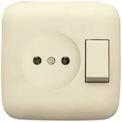 Busch-Jaeger combinatie wandcontactdoos/schakelaar zonder randaarde Standaard SI (4310/6 UJ-212-500)