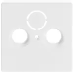 centraalplaten
