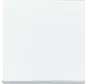 Friends of Hue schakelwip 1-voudig Future Linear studiowit glans (6735 BT-84)