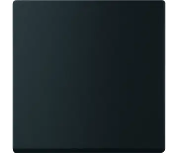 Busch-Jaeger Friends of Hue bedieningswip 1-voudig Future Linear zwart mat (6735 BT-885)