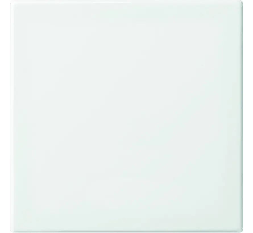Friends of Hue schakelwip 1-voudig Balance SI wit glans (6735 BT-914)