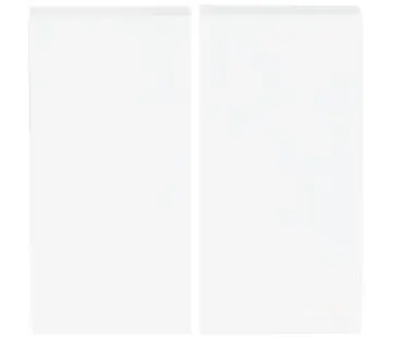 Busch-Jaeger Friends of Hue bedieningswip 2-voudig Future Linear studiowit glans (6736 FoH-84)