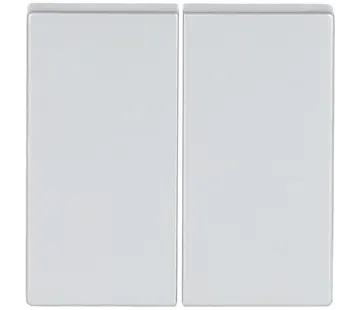 Busch-Jaeger Friends of Hue bedieningswip 2-voudig Future Linear aluzilver (6736 FoH-83)