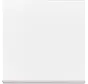 Friends of Hue bedieningswip 1-voudig Future Linear studiowit glans (6735 BT-84)