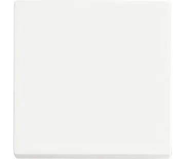 Busch-Jaeger Friends of Hue bedieningswip 1-voudig Future Linear studiowit mat (6735 BT-884)