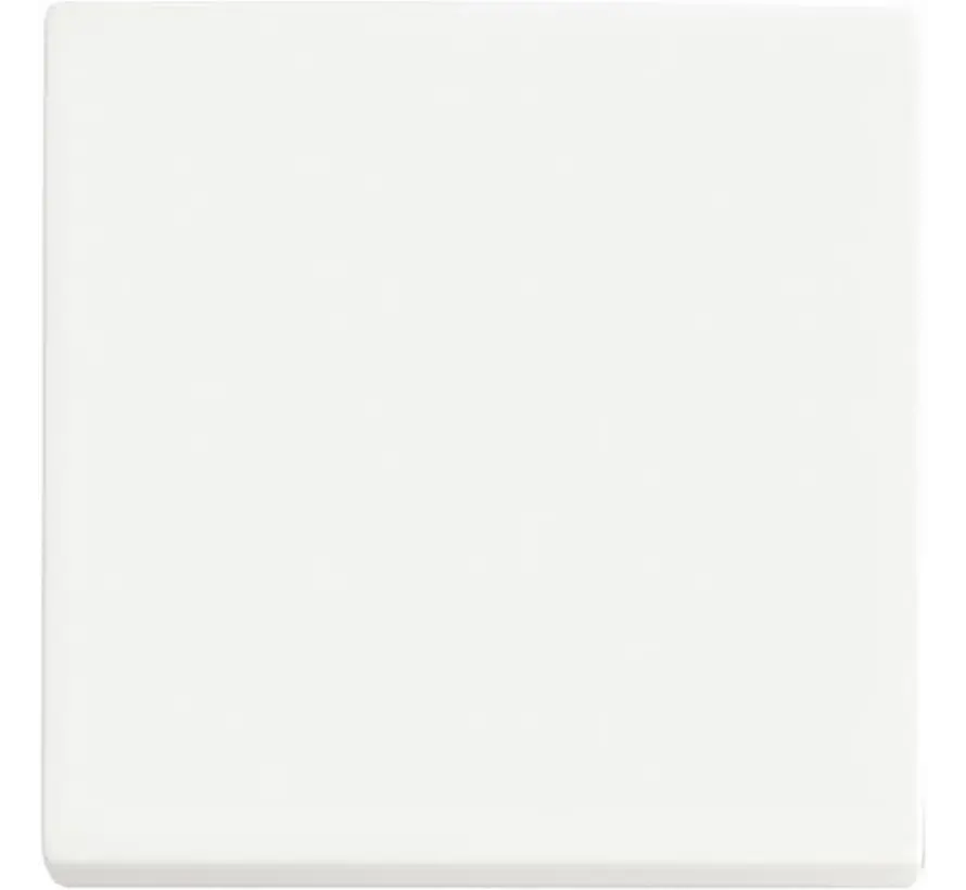 Friends of Hue bedieningswip 1-voudig Future Linear studiowit mat (6735 BT-884)