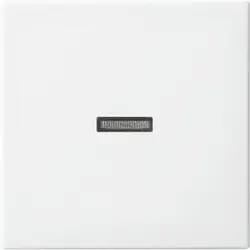 Busch-Jaeger schakelwip controlevenster Balance SI wit glans (1789 N-914)