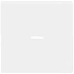 Busch-Jaeger schakelwip controlevenster Future Linear studiowit glans (1789 N-84)