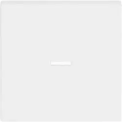 Busch-Jaeger schakelwip controlevenster Future Linear studiowit mat (1789 N-884)
