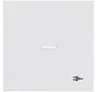 schakelwip met controlevenster en symbool stekker Future Linear studiowit mat (1789 ST-884)