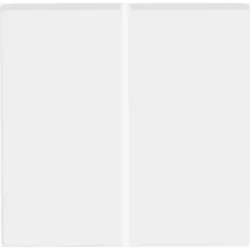 Busch-Jaeger Friends of Hue bedieningswip 2-voudig Future Linear studiowit mat (6736 FoH-884)