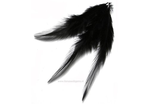Rooster feathers per 10 pieces (black)