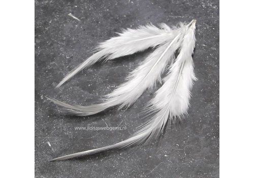 Rooster feathers per 10 pieces (white)