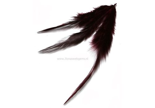 Hanenveren per 10 stuks (bordeaux)