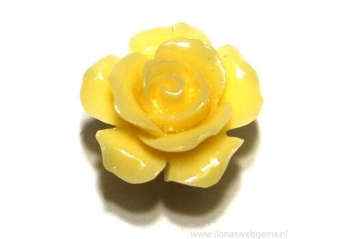 15 pieces Coral rose