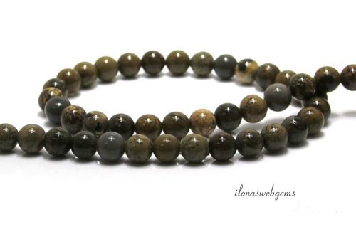 Artic Jasper Perlen um 8mm