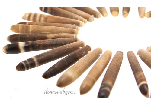 Sea urchin sticks approx. 80x12mm