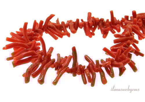 Äste der Roten Koralle 'Corallium Rubrum', ca. 6–20 mm