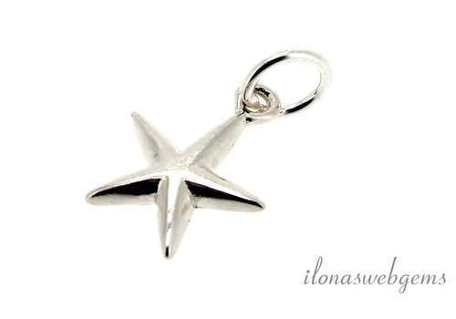 sterling silver bedeltje