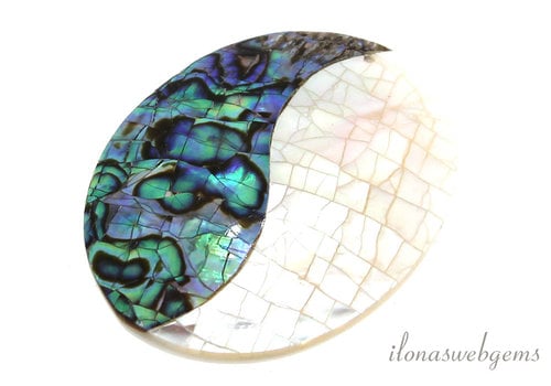 Abalone hanger ca. 45x35x4.5mm