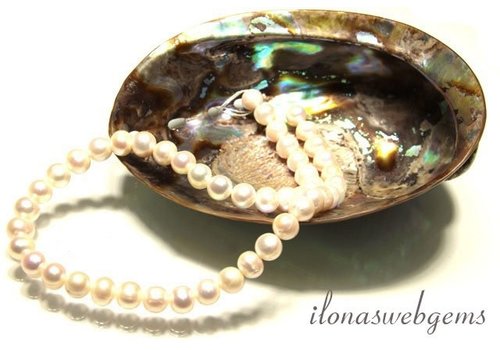 Inspiratie: Abalone schelp