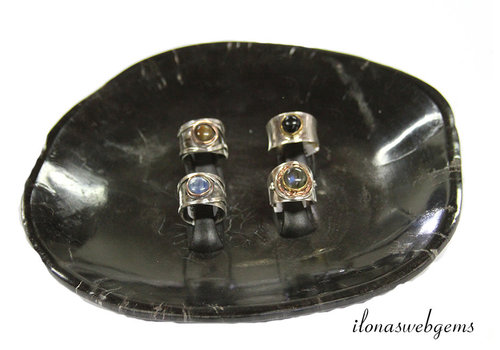 Versteinerte Holzschale / Platte