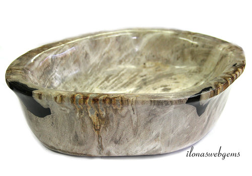 Petrified wooden bowl