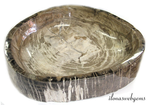 Petrified wooden bowl