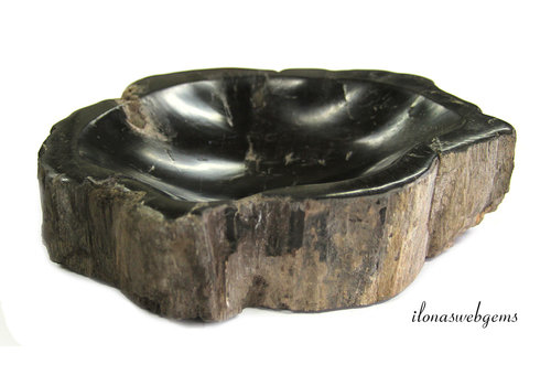 Petrified wooden bowl