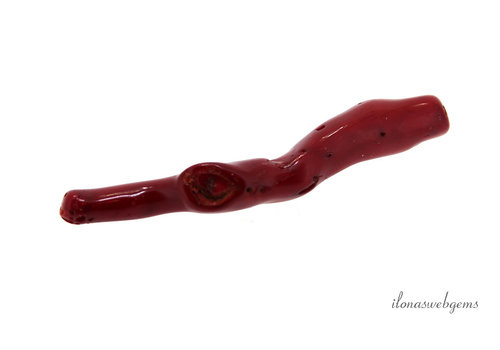 1x Red coral twig XL