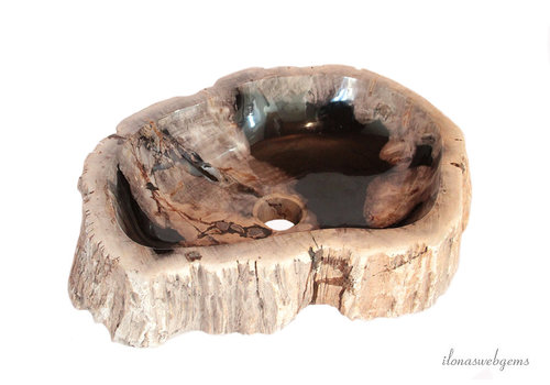 Petrified wooden sink