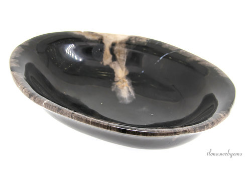 Versteinerte Holzschale ca. 22x16x5cm