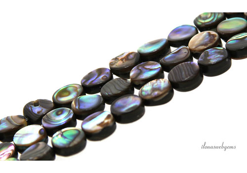 Abalone beads coin about 8mm