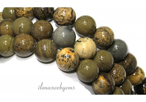 Artic Jasper beads around 10mm