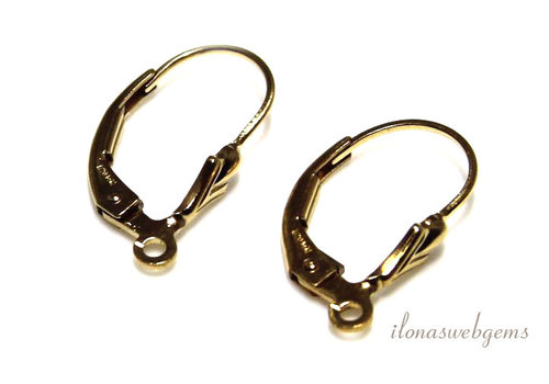 1 pair of 14/20 goldfilled earring hooks approx. 16x9mm