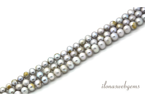 Freshwater pearls mouse gray - gold around 6-7mm