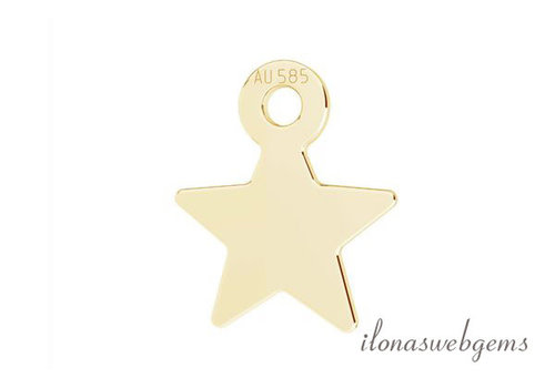 https://cdn.webshopapp.com/shops/277192/files/428759134/500x350x2/14-carat-gold-charm-star-approx-83x7mm.jpg